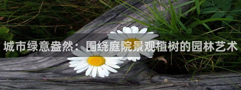 白宫摩根会娱乐会所