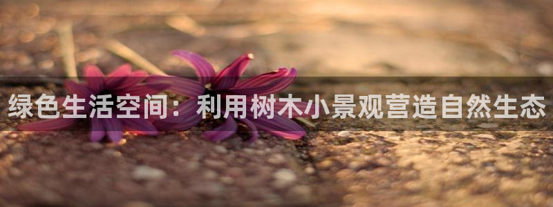 摩根娱乐彩票最忌三种东西