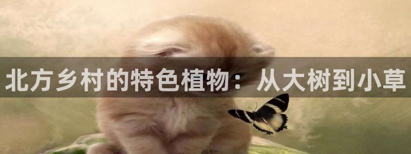 摩根娱乐宝怎么赚钱的