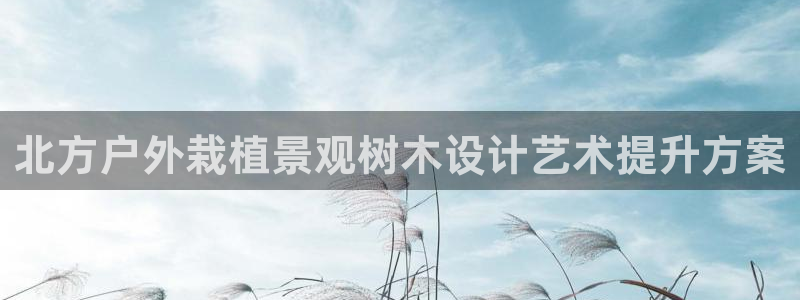 摩根娱乐宝是合法吗