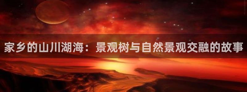 摩根娱乐总部在哪里
