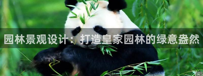 摩根娱乐宝代理