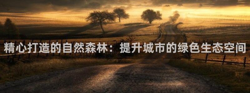 泉州摩根娱乐会所地址