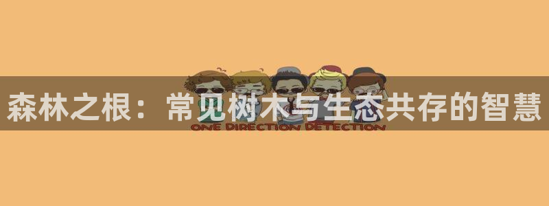 义乌摩根娱乐消费多少