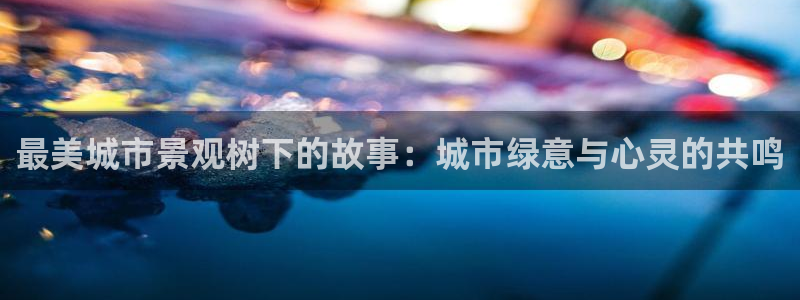 摩根娱乐宝微交易