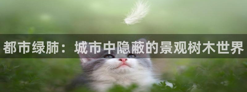 摩根娱乐宝可靠不