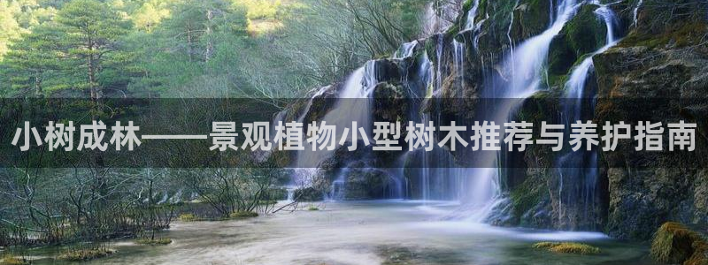 柬埔寨西港摩根娱乐