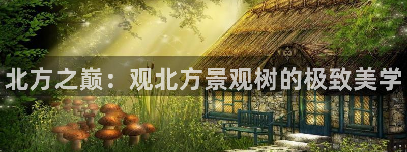 摩根娱乐宝怎么盈利