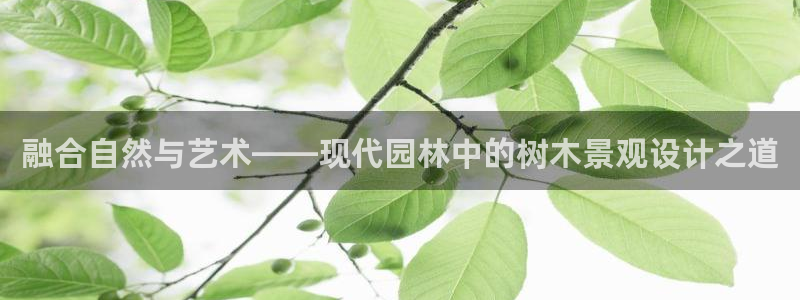 摩根娱乐宝官网下载