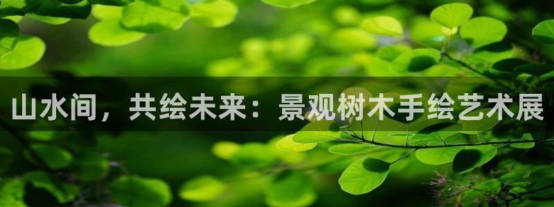 摩根娱乐dj