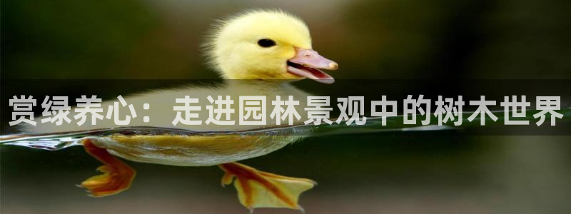 摩根娱乐1老o板50820