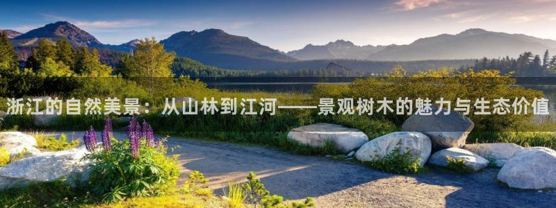 玩摩根娱乐宝亏了三千