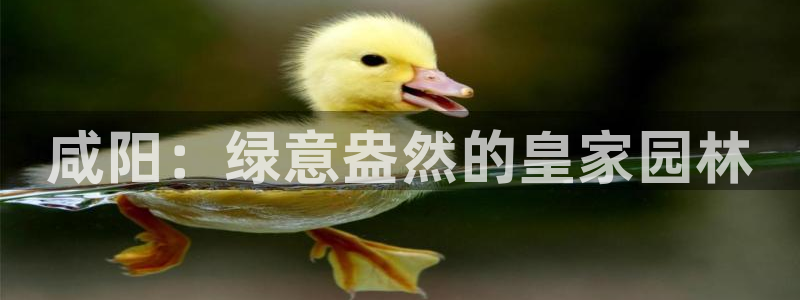 摩根娱乐挂机项目怎么样