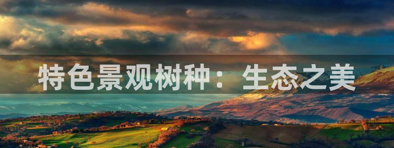 摩根娱乐宝.知道吗