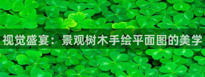 泉州摩根会娱乐会所地址：视觉盛宴：景观树木手绘平面图的美学
