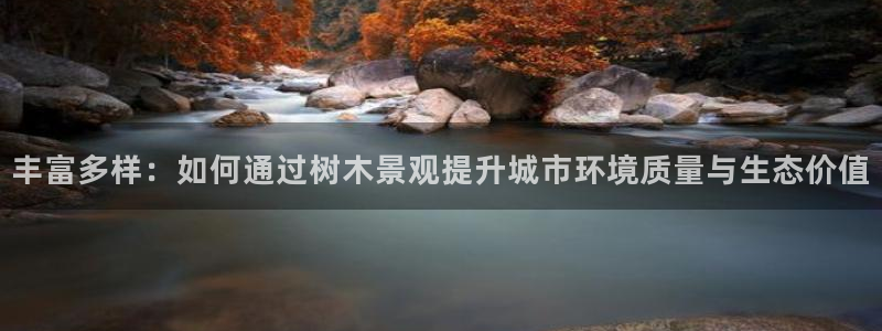 上投摩根娱乐