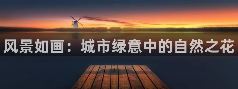 摩根娱乐宝真的假的：风景如画：城市绿意中的自然之花