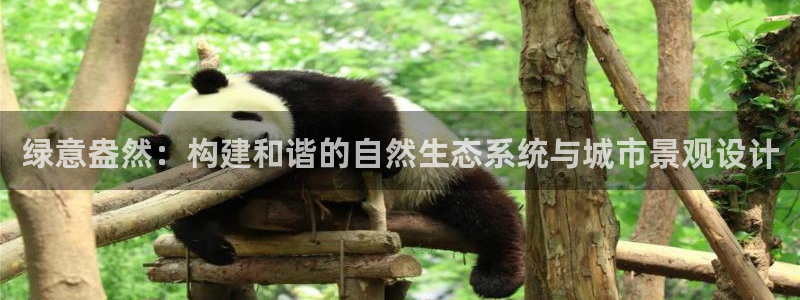 芜湖摩根一百有哪些娱乐