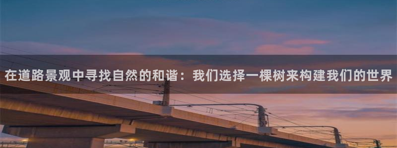 摩根娱乐 c招a商77130
