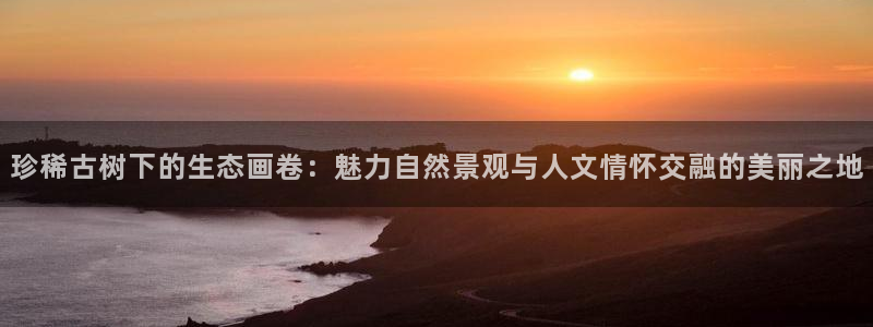 摩根娱乐50186联系：珍稀古树下的生态画卷：魅力自然景观与人文情怀交融的美丽之地