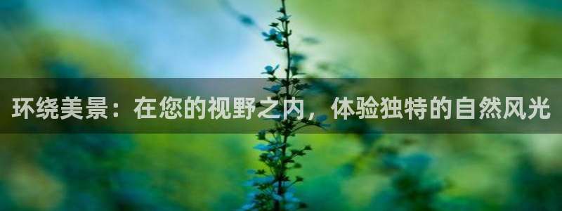 海贼王之娱乐摩根斯：环绕美景：在您的视野之内，体验独特的自然风光