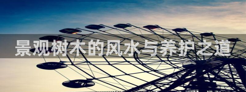 泉州摩根会娱乐