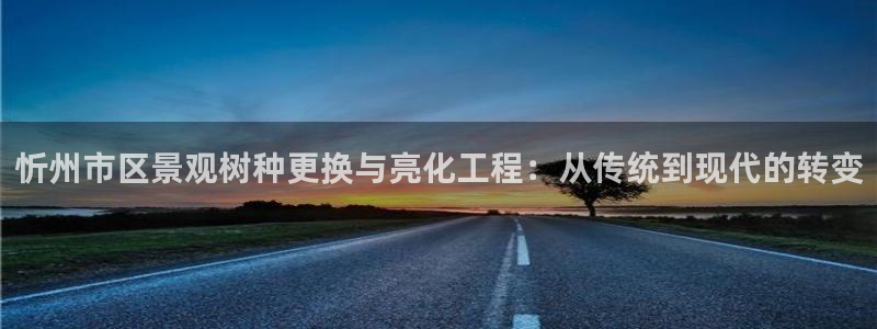 摩根娱乐宝微交易