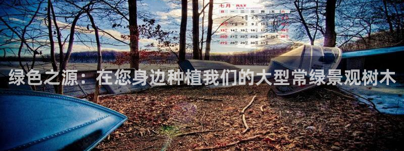 首页摩根娱乐平台