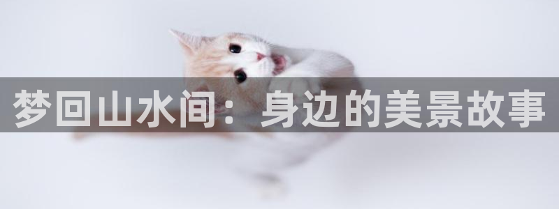 摩根娱乐官网下载