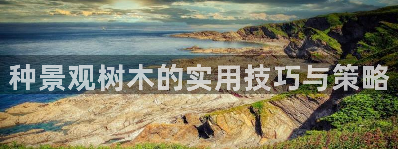 摩根兄弟进军娱乐圈