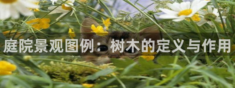 义乌摩根国际娱乐会所