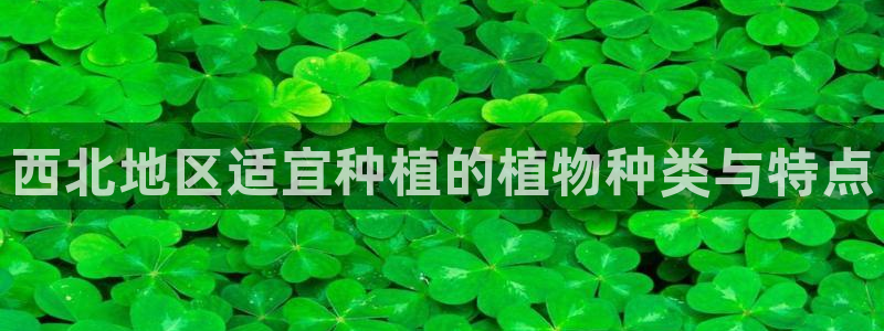 义乌市摩根娱乐会所招聘