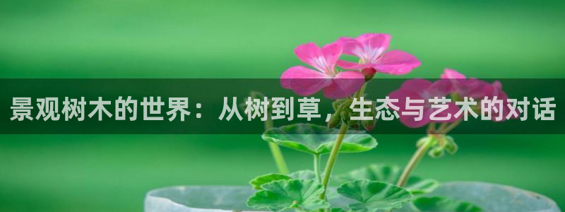 摩根娱乐 c招a商77130：景观树木的世界：从树到草，生态与艺术的对话