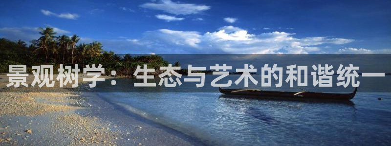 摩根娱乐宝打不开