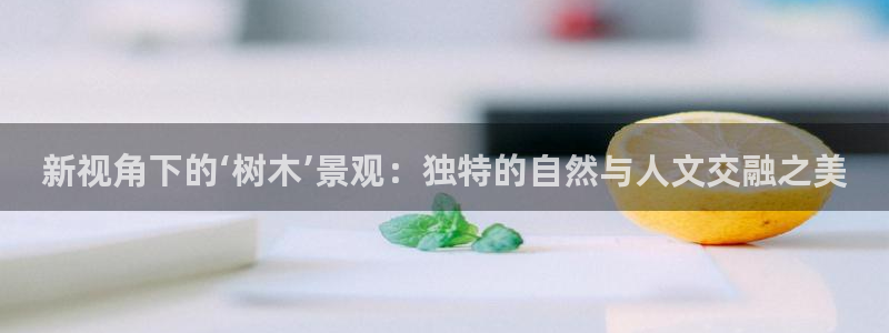 摩根娱乐宝骗了多少人：新视角下的‘树木’景观：独特的自然与人文交融之美