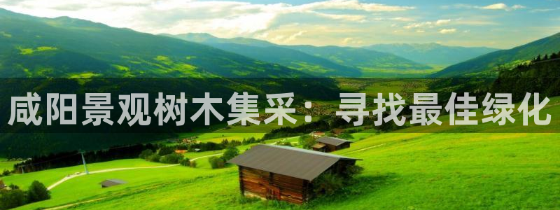 华视娱乐摩根王琛