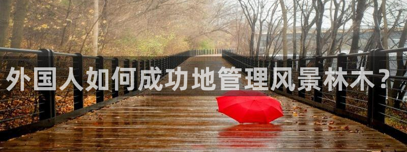 摩根娱乐宝邀请码