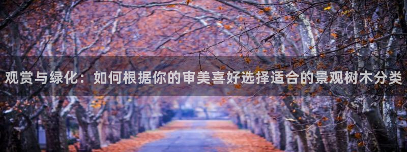 摩根360娱乐