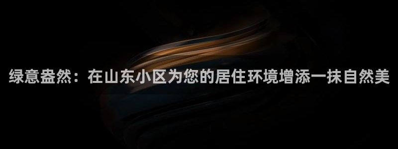 摩根娱乐公会创始人