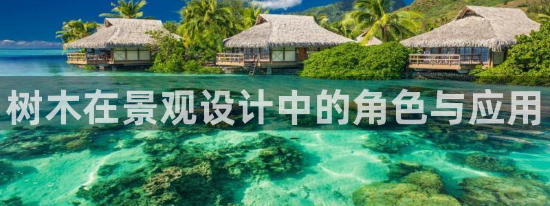福建泉州白宫摩根会娱乐：树木在景观设计中的角色与应用