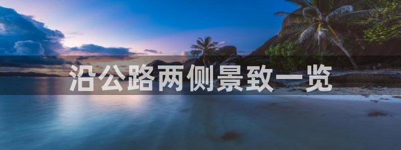 泉州摩根会娱乐有限责任公司管理