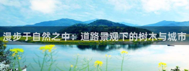 摩根娱乐宝合法吗