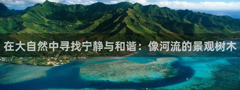 摩根娱乐是什么模式