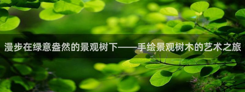 摩根室内娱乐