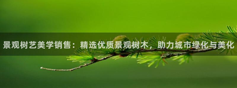 泉州摩根会娱乐场所