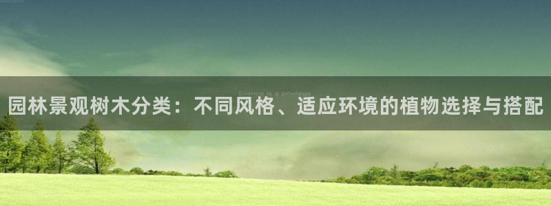 摩根娱乐 1老j板50820