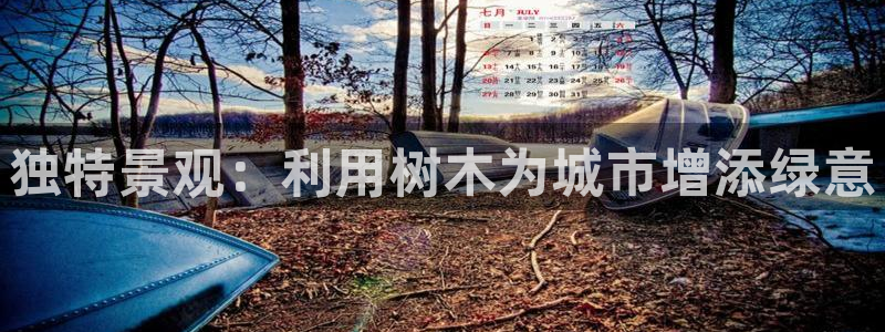 摩根娱乐是真的呀