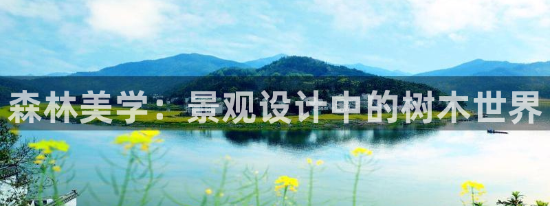 摩根娱乐50186选择