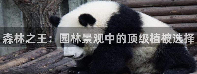 摩根娱乐宝怎样拉下线