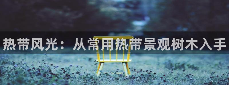 摩根娱乐宝是什么游戏